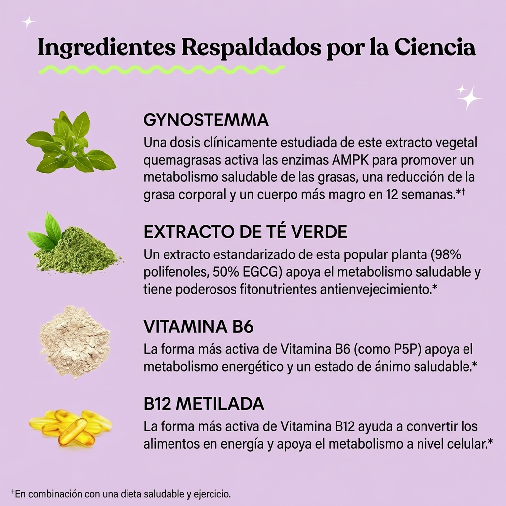 Lemme Burn - Apoyo al Metabolismo y Reducción de Grasa Abdominal