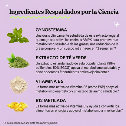 Lemme Burn - Apoyo al Metabolismo y Reducción de Grasa Abdominal